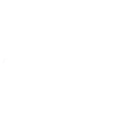 đối tác thanh toán