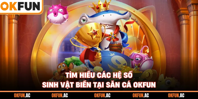 Tìm hiểu các hệ số sinh vật biển tại săn cá OKFUN